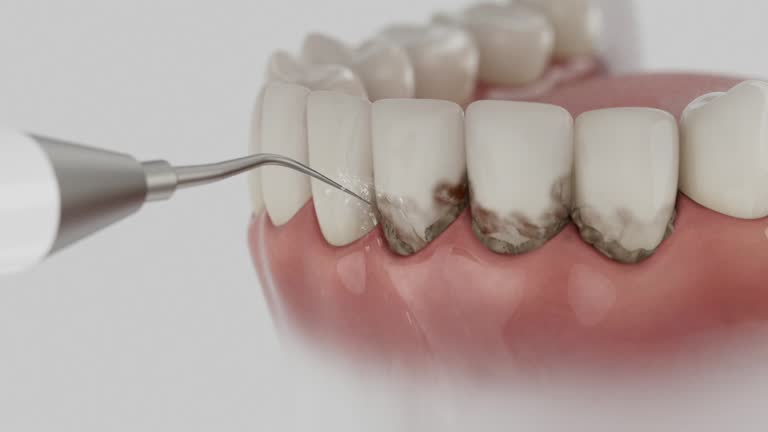 Reliable Dental contractor in Buena Vista city County, VA by Dentist Open Now